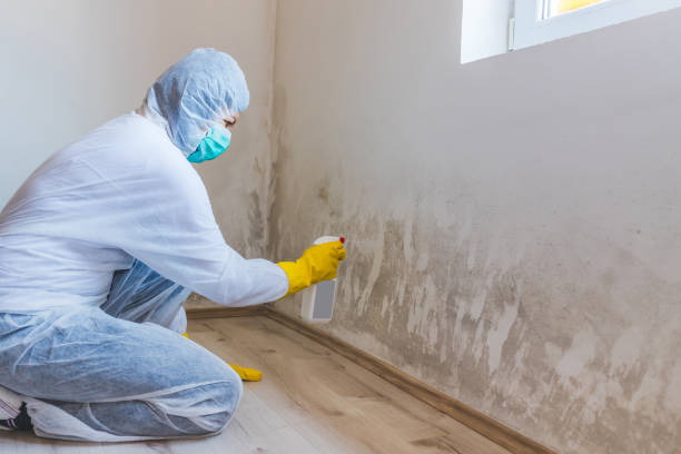 Licensed Crawl Space Mold Removal service in Chantilly, VA - WQB Mold Removal