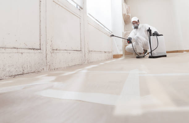 24/7 Emergency Crawl Space Mold Removal experts in Chantilly, VA