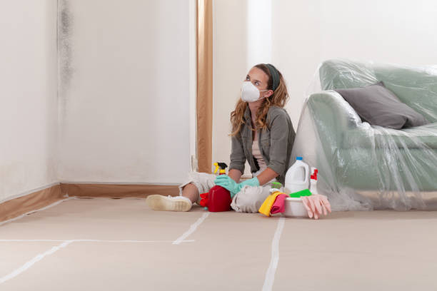 Reliable Crawl Space Mold Removal contractor in Chantilly, VA by WQB Mold Removal