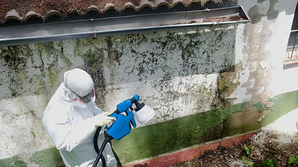 Top rated local Crawl Space Mold Removal specialists in Chantilly, VA